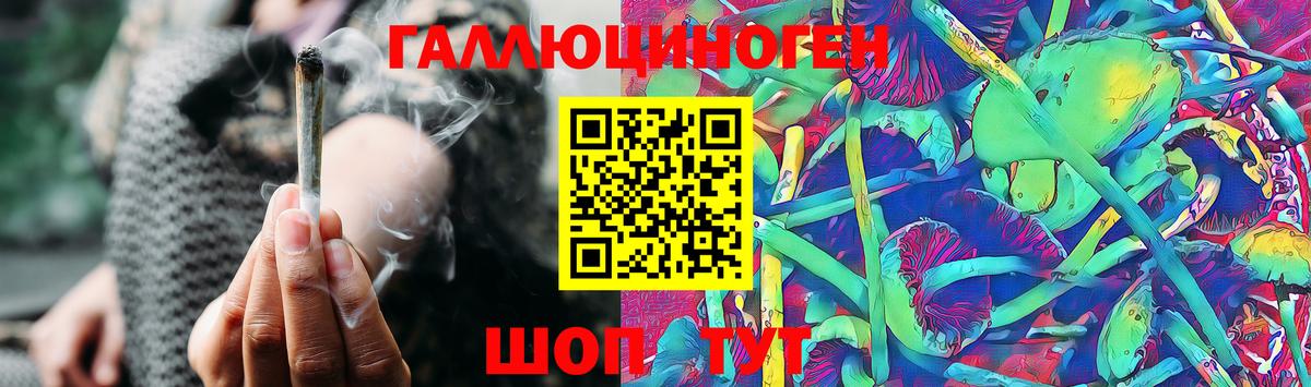 Псилоцибиновые грибы Psilocybine cubensis Тосно